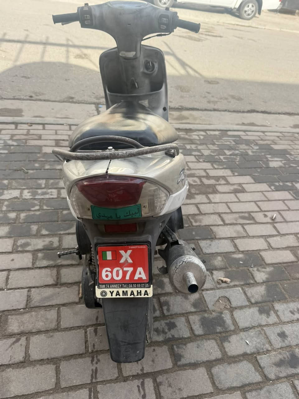 سلام عليكم
منغولي للبيع 
***********
