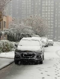 تراكس • ٢٠٢٠ • دفع رباعي