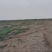 صويره • ٢٠ دونم • ماء متوفر