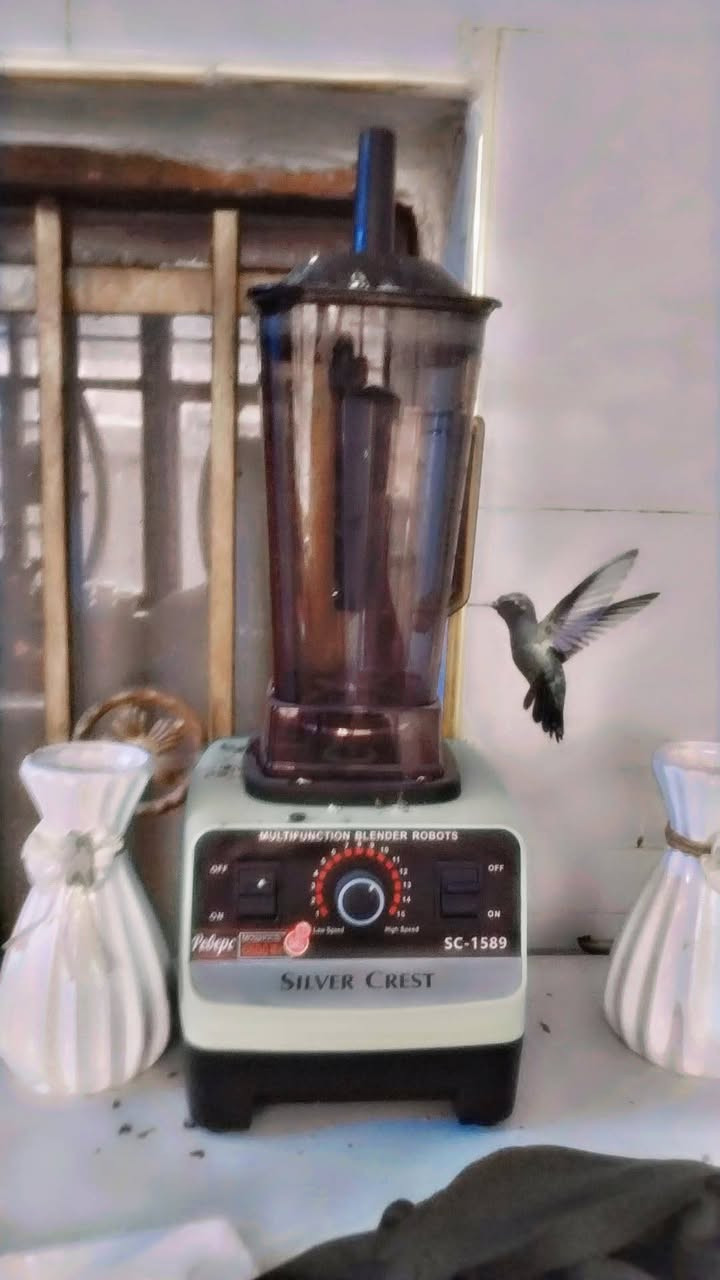 سلام عليكم غراظ بيت للبيع مكاني بغداد حي الجهاد بسعر مناسب شلع 250 قفل***********
