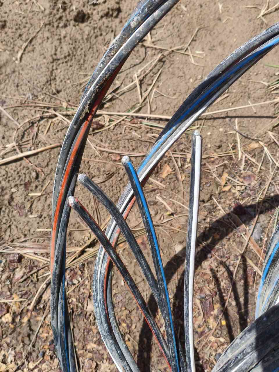 ضفيره تركي 4 خطوط درجه اولى طول أقل 20 متر سعر 60 الف
***********5
