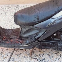 كزز خطين • ياباني • القرنه هور سعد