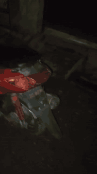 سلام عليكم دراجه للبيع دراجه سكنس نثيه دراجه مجفته كلوب ناصي اصفر عالي ثلجي دراجه خير ن الله مرتبه بس يرادلها كفرات شلعا مالتها مو قويه السعر 250قفل العنوان بغداد الاعضميه سبع بكار الرقم الاستفسار ***********
