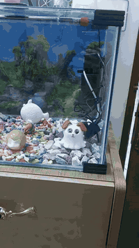 حوض سمك للبيع(٠٧٨٦٨٣٠٦١٣٥)(٠٧٥١٠٧٩٧٨٨٥)