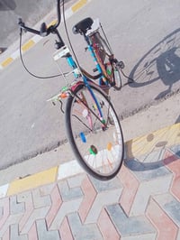 بيسكل • موديل 21 • مكفول