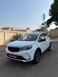 ليفان • مشيه ١٠٠٠ • تيبازة