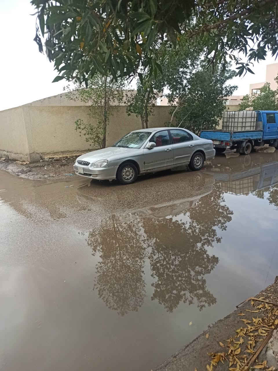 سيارة سوناتا منغولي 2001 بأسمي رقم بغداد محرك مسكر 2000 سيارة جاهزة تبريد ثلج بس كمبريسر مكاني  الحلة الحمزه الغربي هزة جديدة صارلها شهرين 
*********** سعر 50 وبيها مجال بسيط .
