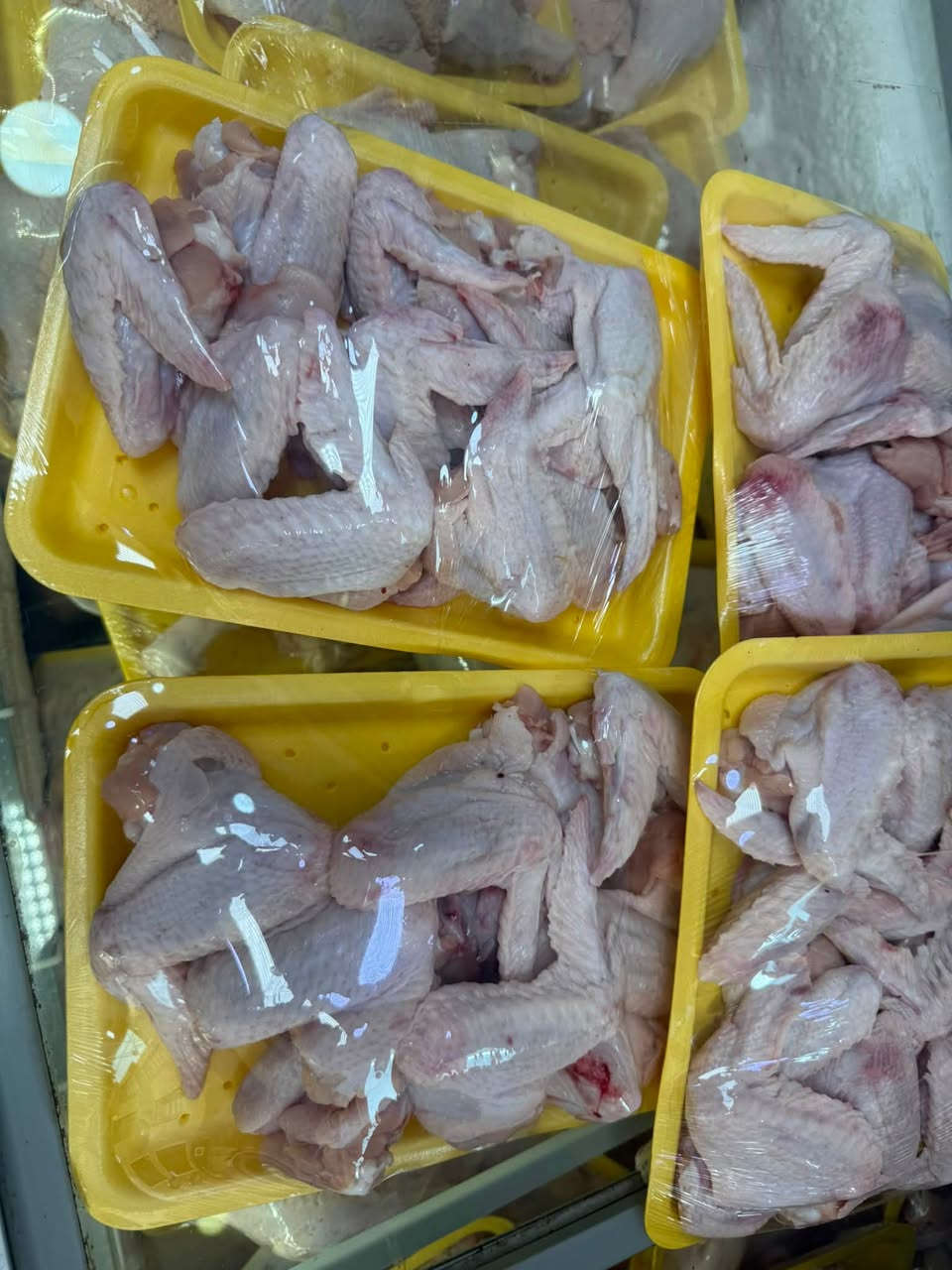 محلات دجاج البركه
عرض ٣ كيلو أجنحه ١٠ آلاف
عرض ٣كيلو كبده ١٠ آلاف
متوفر جميع المقطعات والدجاج الكامل 
يوجد خدمه توصيل*********** وتساب
