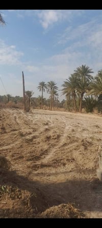 دونم • دار 150م • كربلاء الابراهيمية