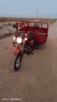 ستوتة ديوان • بدون أوراق • التحويلة قرية الغوالبة