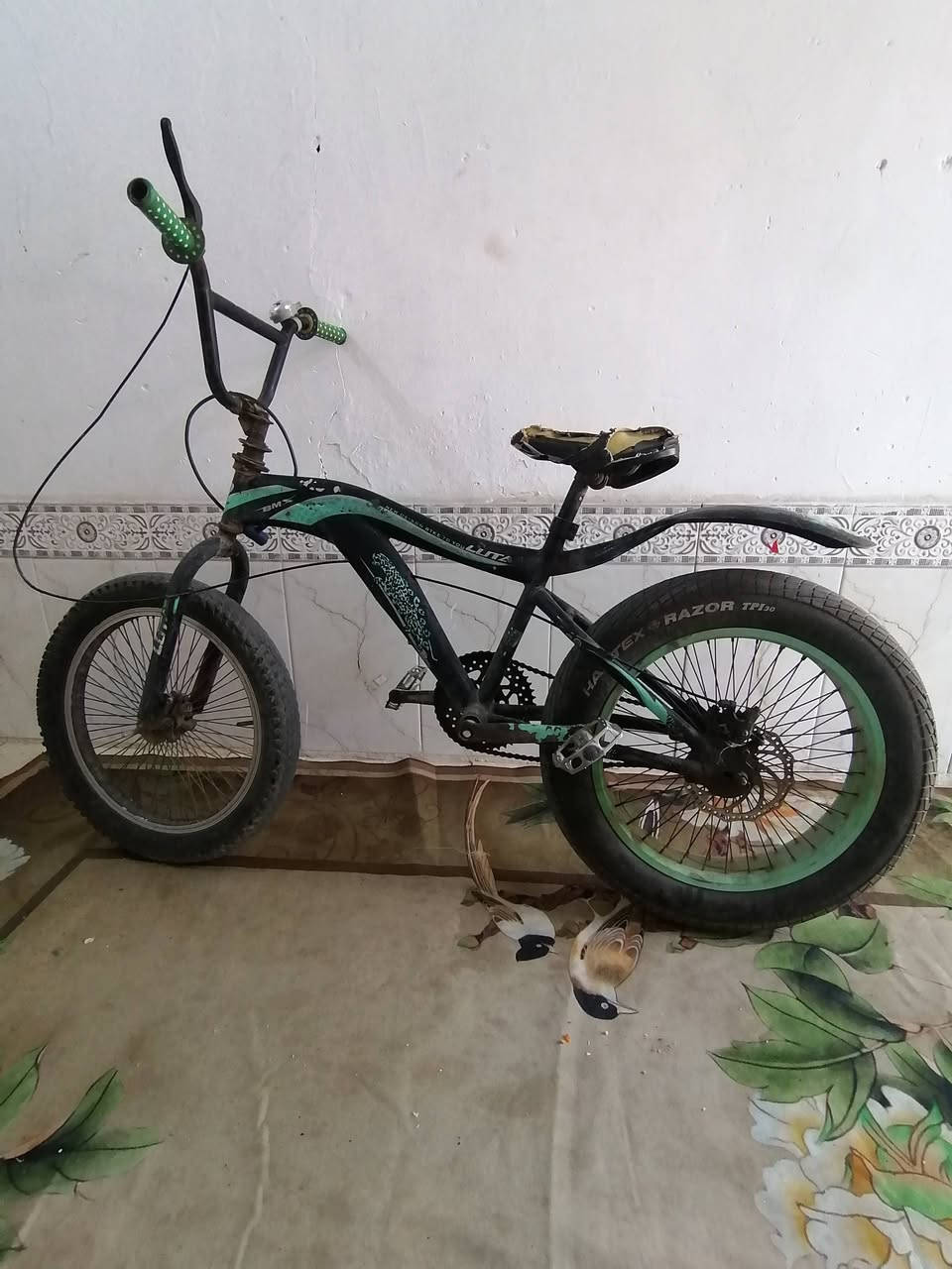 باسكل جبلي كوبره


**إذا كنت صاحب هذا الإعلان وتريد حذفه لأي سبب، رجاءا أرسل رسالة إلى الدعم الفني**