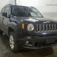 رينجد • ٢٠١٧ • شبر صبغ