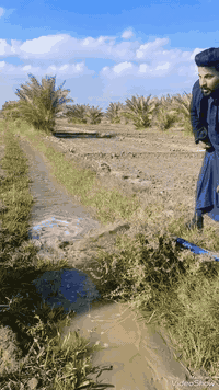 سلام عليكم ورحمة الله وبركاته
يوجد لدينا مكينه حفر الابار الارتوازيه بكافه الاحجام ابو 6 ابو 8 ابو 10 ابو 12 شغل درجة اولى مع التنضيف😊 للحجز عل الرقم التالي  ***********      المكان المهناويه وقضاء السنيه ونطلع لكافه الاماكن الاخرى
