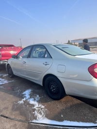 رقم مثنى • مصبوغه جماليه • سنويته ٢٠٢٧