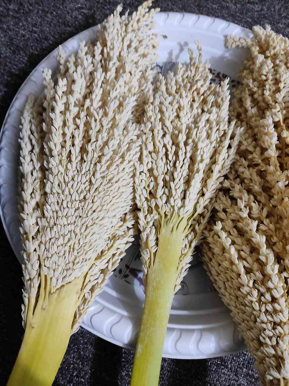 السلام عليكم منو يريد القاح مال نخل ذكرمجاني


**إذا كنت صاحب هذا الإعلان وتريد حذفه لأي سبب، رجاءا أرسل رسالة إلى الدعم الفني**