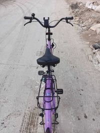 باسكل ياباني • موديل 2021 • شطره