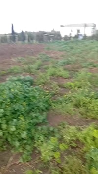 راس الجبل • ٣ قطع • ٣٩٥م