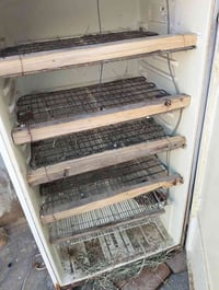 فقاسة • ٥٠٠ بيضة • القلعه