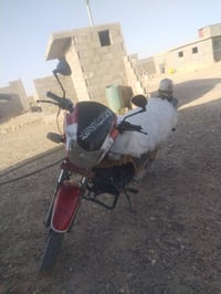 موديل • دراجة