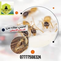 نحن هنا لحمايتك! 🛡️ نقدم لكم في [اسم مكتب اهل بغداد لمكافحة الحشرات ] ...