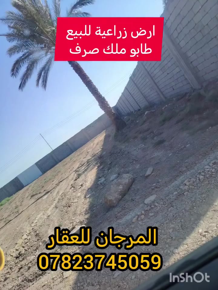 #ملك_صرف 
تريد تسوي مزرعة او سكن😉👇
دونم للبيع ملك صرف ٢٥٠٠م وجه ٥٠م نزال ٥٠م
الموقع بغداد اليوسفية قرب القصر الاوسط
استفسار
***********-***********
#نستقبل_كافة_العروض_بيع_شراء
