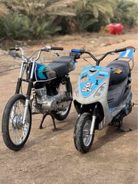 ماكس منغول • جديدة • ام النعاج