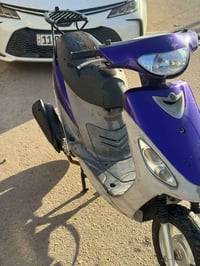 ماكس منغولي • نضيف • سلف