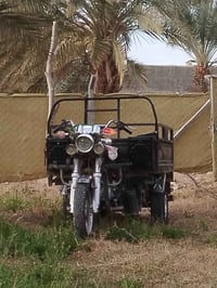 ستوته • مديل 16 • كربله