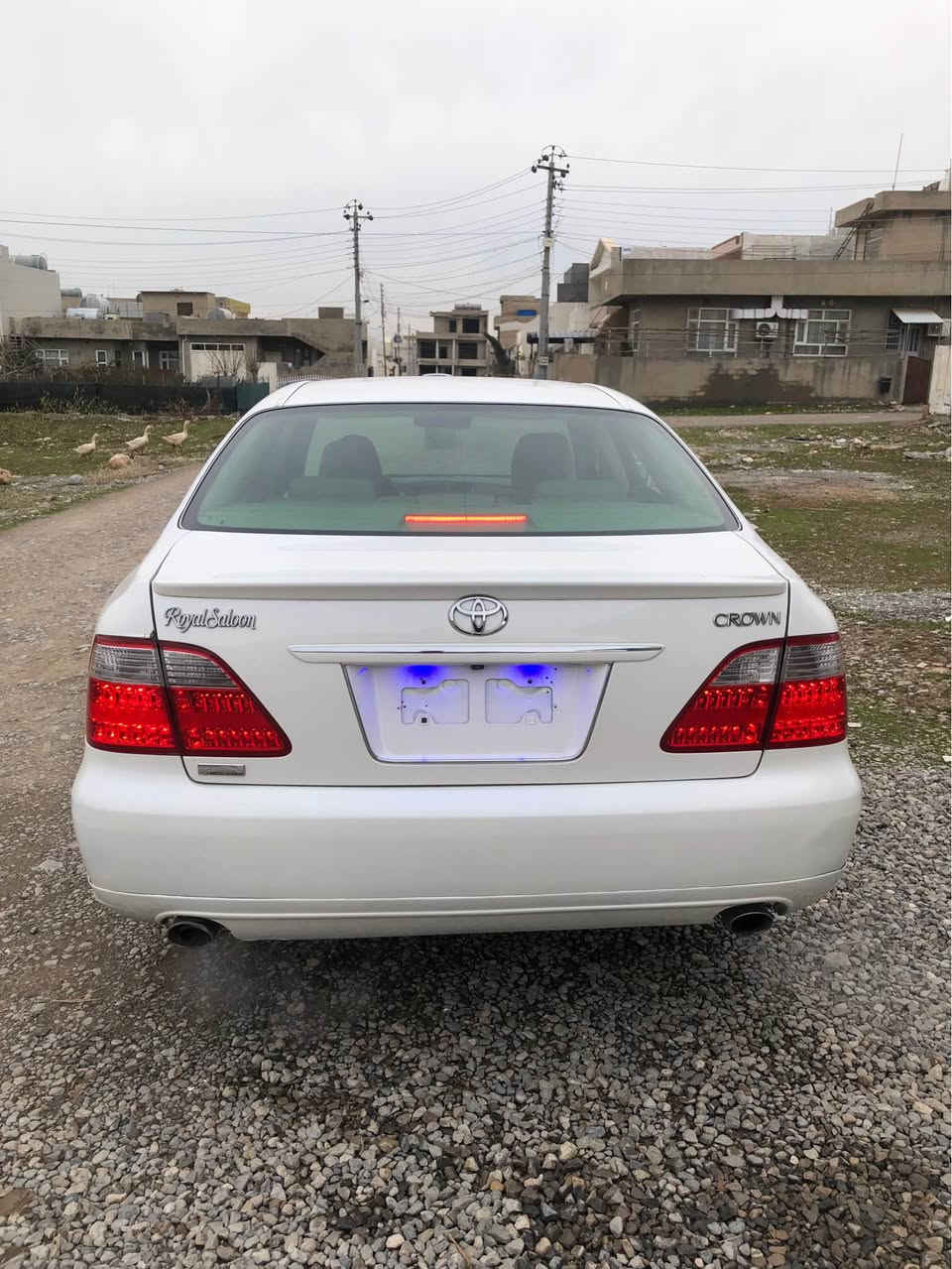 شاهینە  رۆیال ٢٠٠٧گجکە بە گەورەنمونە   لە جوانی ناو زەرد گەرمی مە زبوتە   پیشو پشتی کراوەتە سپۆرت    *********** رانية, السليمانية
