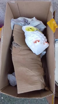 عندي ذني للبيع وياهن بعد خير من الله الي يريدهن تفضل مكاني البياع الرس...