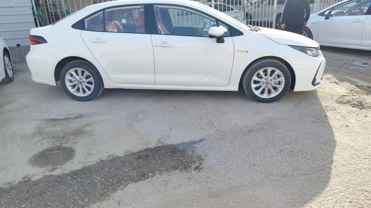 سلام عليكم
كورلا هايبرد 23 

داخل احمر 

بصمه

قطعتين تبريد

شاشه 

سايد بريك دكمه

فتحه

بيه باب خلفيه تبديل وبارد صغير موضح بالصوره 

مكانه حله 

سعره 138 وبيه مجال ان شاءالله 

واتساب ***********

اتصال ***********
