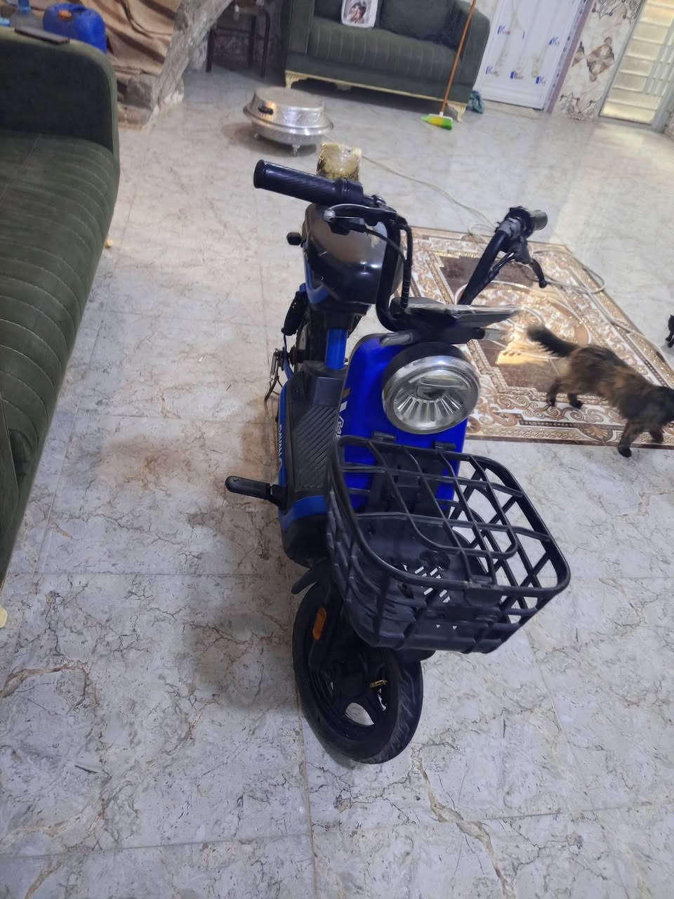 دراجه شحن شركه ريان معروفه دراجه كامله كله شغال بطاريات قبل شهر بدلهن جديد ب150بس لبطاريات تواير  جدد لايت عالي ناصي هورن شاحنه كله موجود ب200ناصريه مركز بثوره ***********

