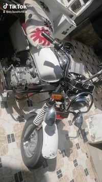 ستوته • موديل ١٣/١٤ • أوراق كاملة