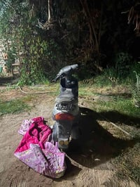 دراجه • بيجي