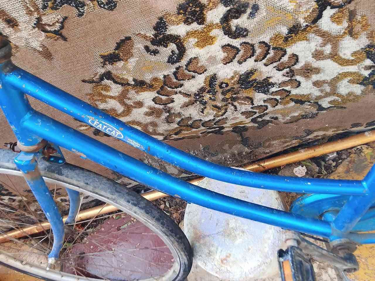 سلام عليكم باسكل البيع نضيف بناتي السعر 60بي مجال مستعجل على بيعته


**إذا كنت صاحب هذا الإعلان وتريد حذفه لأي سبب، رجاءا أرسل رسالة إلى الدعم الفني**