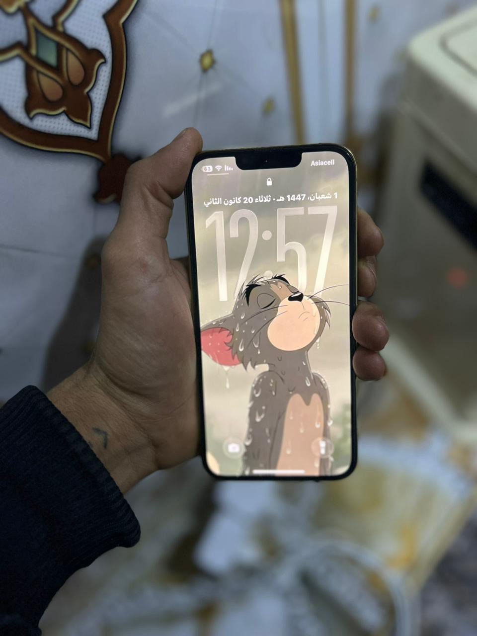 السلام عليكم مبايل 13 برو جهاز نضيف حيل وحيل  ومابي اي عيب مكاني تكريت رقم المبايل ***********
