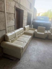 تخم قنفات جلد ٥ قطع السعر ٣٠٠ الف وبيها مجال.                         ...