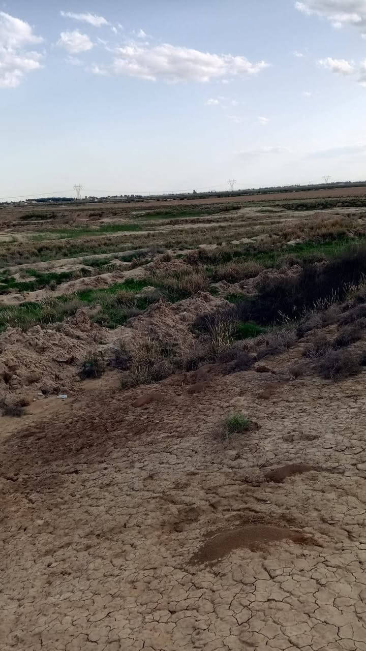 السلام عليكم قطعه ارض للبيع مساحه ١٠ دونم موقعه بغداد منطقه الحميديه سعر الدونم ٦٥مليون رقم الهاتف للتواصل ***********

