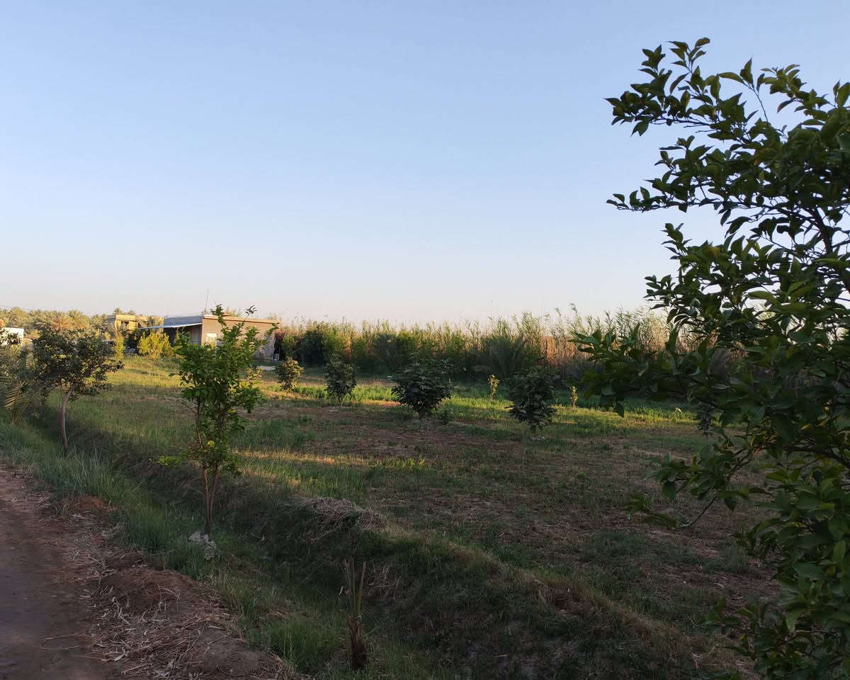 مزرعة نموذجيه للبيع المساحه ٥ دونم ونصف طابو زراعي سند 25
توجد فيها كافة الخدمات ماء اساله كهرباء
تبيلط امام المزرعه
مولدة شارع ايضاً
مغروسة بجميع الاشجار منها النخيل بمختلف الاصناف والحمضيات والفواكه 🍏ومنها دونم للعنب 🍇بجميع انواعه
فيها دار استراحه عائلي ودار للحارس مع حقل لتربية المواشي🐑 مع محميه للدواچن🐔
الموقع مميز جداً جنوب محافظة بابل ناحية الشوملي منطقة الجوادية
تبعد عن طريق السريع حله ديوانيه مسافة 3 كم وعن شارع خيگان 2 كم
للأستفسار والتواصل /***********
