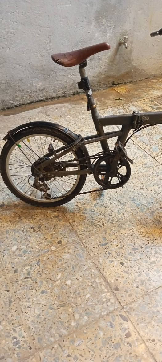 دراجه هوائيه ماركة Jeep.. جيب . امريكي وارد ياباني . السعر 100 الف بي مجال بسيط . البايسكل بحاله جيده وكله شغال . تايرات جدد بريكات شغاله .
العنوان المدائن منطقه البانيروما خلف اسواق حلاوة 
التفاصيل ع الخاص


**إذا كنت صاحب هذا الإعلان وتريد حذفه لأي سبب، رجاءا أرسل رسالة إلى الدعم الفني**