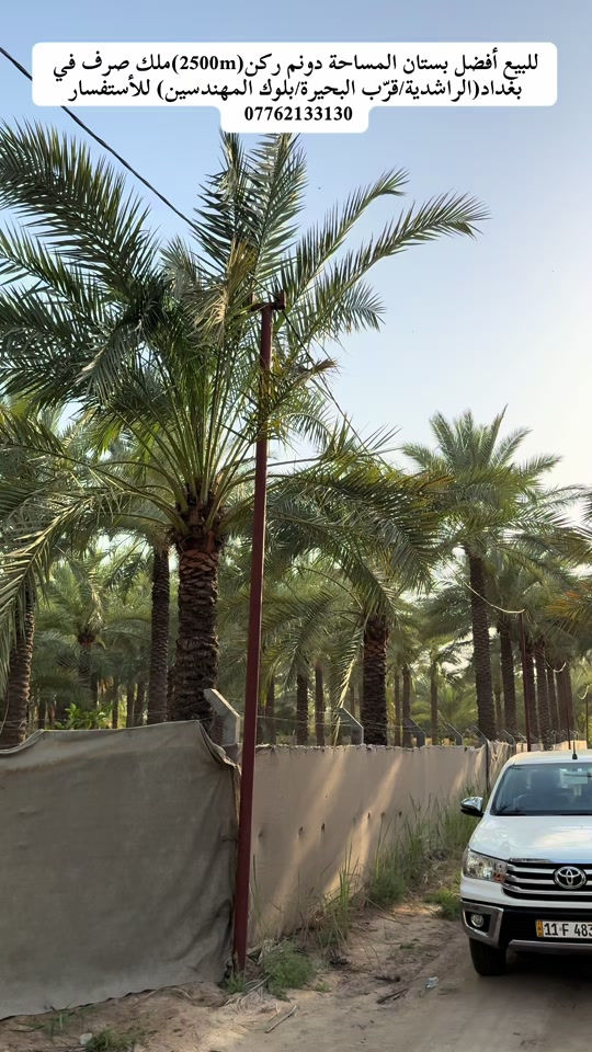 السلام عليكم👋للبيع بستان ملك صرف تحويل مباشر بأسم المشتري ليس إقرار محكمة في دائرة التسجيل العقاري المساحة الكلية(2500m/دونم)ركن الواجهية على الشارع الرئيسي(43m)والنزال(60)على شارع فرعي يحتوي على(73نخلة من افضل انواع النخيل وايضاً يحتوي على أشجار الحمضيات)موقع البستان في بغداد(الراشدية/قرب البحيرة/المهندسين)على شارع المهندسين نفسة)متوفر(محولة كهرباء بباب البستان/ماء السقي من البحيرة وايضاً بئر/ماء الشرب)بستان آلعمر للأستفسار حول السعر *********** / *********** / *********** #جزيرة_بغداد_السياحية #viralvideo #tiktok #foryoupage #fyp 

