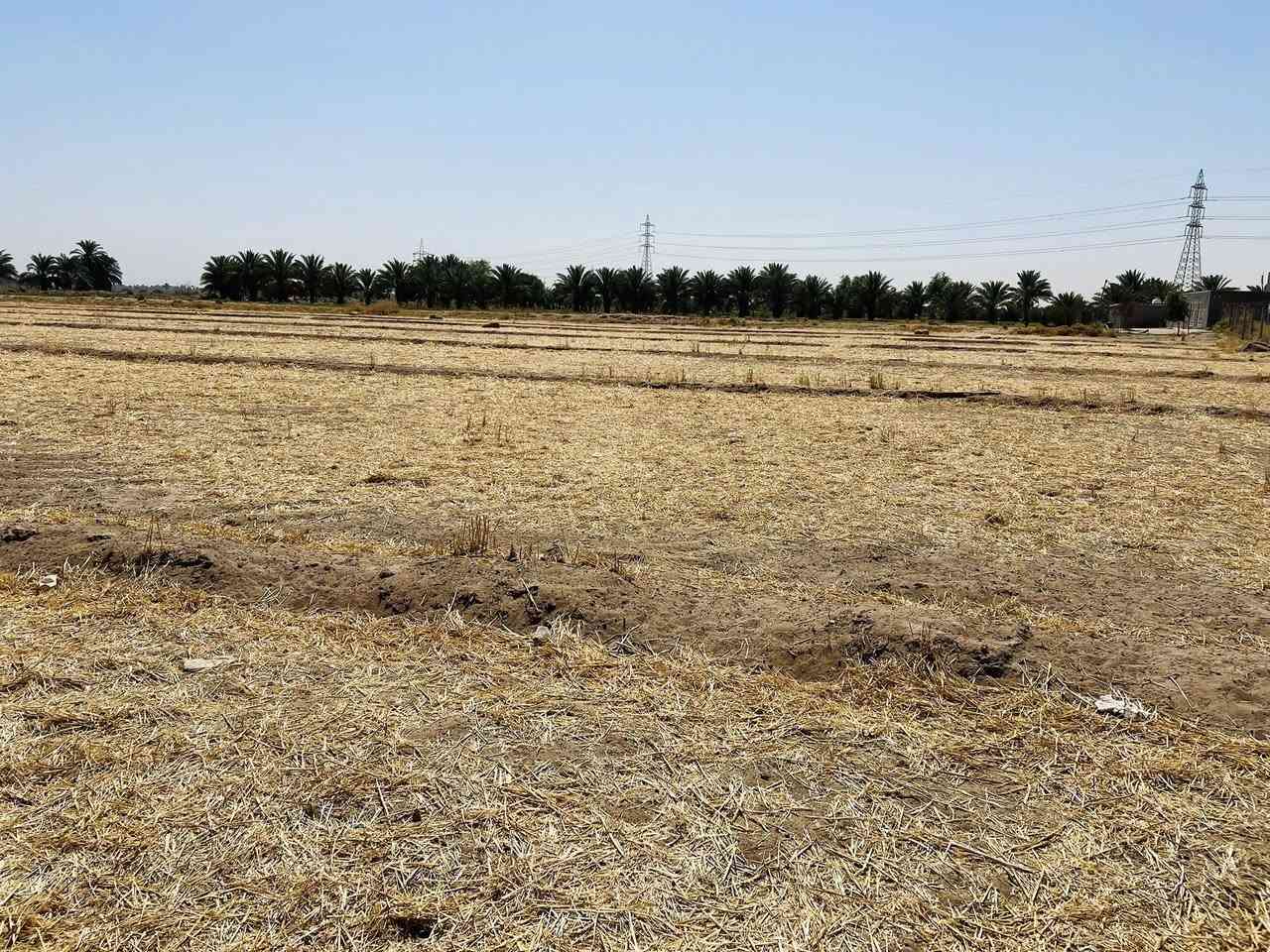 سلام عليكم ارض زراعيه للبيع 
عقد 117 المساحه 4 دونم 
العنوان طريق كربله - نجف عمود 301 يا حسين 
كافت الخدمات ‭0783 885 1910‬
