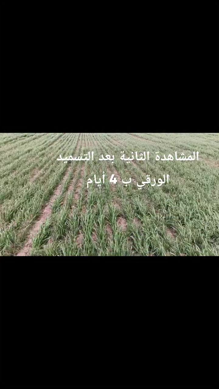 وما توفيقي إلا بالله العلي العظيم. 
النجاح يبدأ من التشخيص الدقيق للمشكلة.. ومن ثم إعطاء العلاج المناسب لها.. للإستشارة. 
***********
*********** 
🌹🌹🌹🌹🌹🌹
