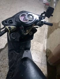 سكنس فحل • بوشه ٥٨ • شديته جديد