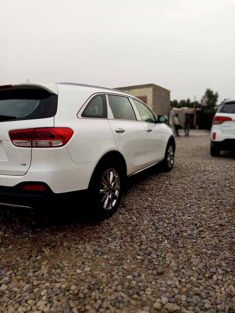 السلام عليكم لبيع سورنتو موديل 16 رقم واسط بسمي شخصياً تحويل مباشر خليجي كفاله عامه من الضربة والصبغ والتبديل مكينه 6سلندر بصمه +بصمه
أبواب+ بصمات ٢ تشغيل فول مواصفات عده الفتحه ٧راكب ويل كروم كشنات تدفئه تبريد + كهرباء جنطه كهرباء حساس خلفي امامي بردات خلفيه ابلاد شاشه وسط كامره خلفيه دواره زراك لايت تخم تاير  السياره علئ الشركه جديده ما متعوبه استخدام قليل علئ أيدي واحلئ من الصور شرط  مكان السياره واسط الكوت قضاء بدره رقم الهاتف *********** مكلف بالنشر السعر اتصل او خاص بسبب الناس التعبانه
