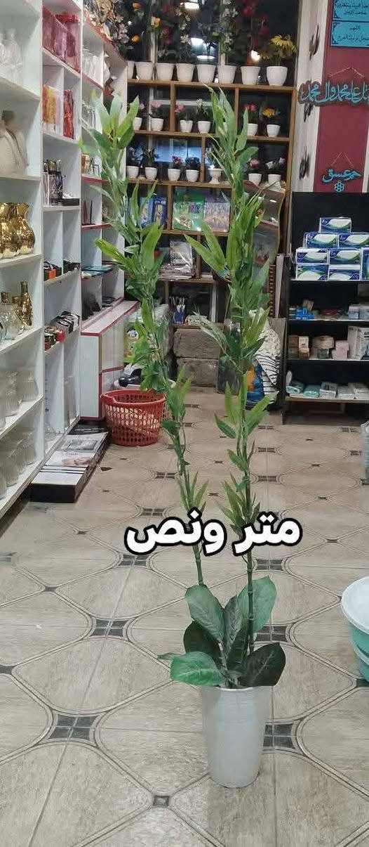 يتوفر انواع الورود
وشرط إيراني اصلي العنوان كوت انوار الصدر شارع المواكب الحسينية
توصيل متوفر
@أبرز المعجبين


**إذا كنت صاحب هذا الإعلان وتريد حذفه لأي سبب، رجاءا أرسل رسالة إلى الدعم الفني**