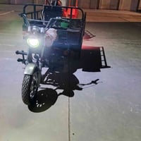 ابيض • كفاله • بصره حيانيه