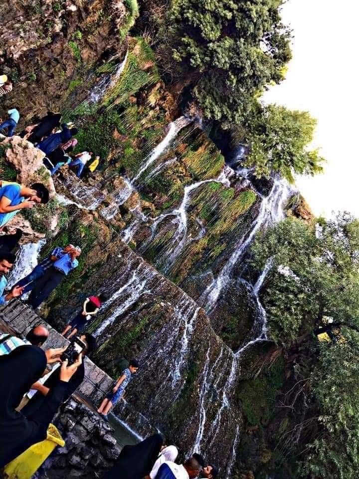 ✈️تعلن شركة الموسوعة للسفر والسياحة

كما عودتكم شركتنا (( الموسوعة للسفر والسياحة ))  برنامج المميزة 
ذهاب واياب بري نعود لكم ليكون

الموسم الصيفي معنا ومعكم احلى واحلى ان شاء الله 
يكون كروبنا تاريخ رحله 2026/6/12

الى زيارة انيس النفوس علي ابن موسى الرضا والسيدة معصومة 

وكافة المزارات 
ديني سياحي
مدة السفرة (14يوم  ) 🥰🥰🥰🥰

مع وجبة افطار في قم 🍳🍳🍳🍳

مع وجبة افطار في شمال ايران 🍳🍳🍳🍳
2 وجبات في مشهد 

السعر 290 الف دينار عراقي🚌🚌🚌🚌🚌

للاستفسار والتواصل معنا اتصل بالارقام التالية 
*********** واتساب 📶
*********** واتساب 📶
*********** واتساب📲
او زيارة موقع الشركة مول الفردوس طابق الأرضي رقم المحل 16B
