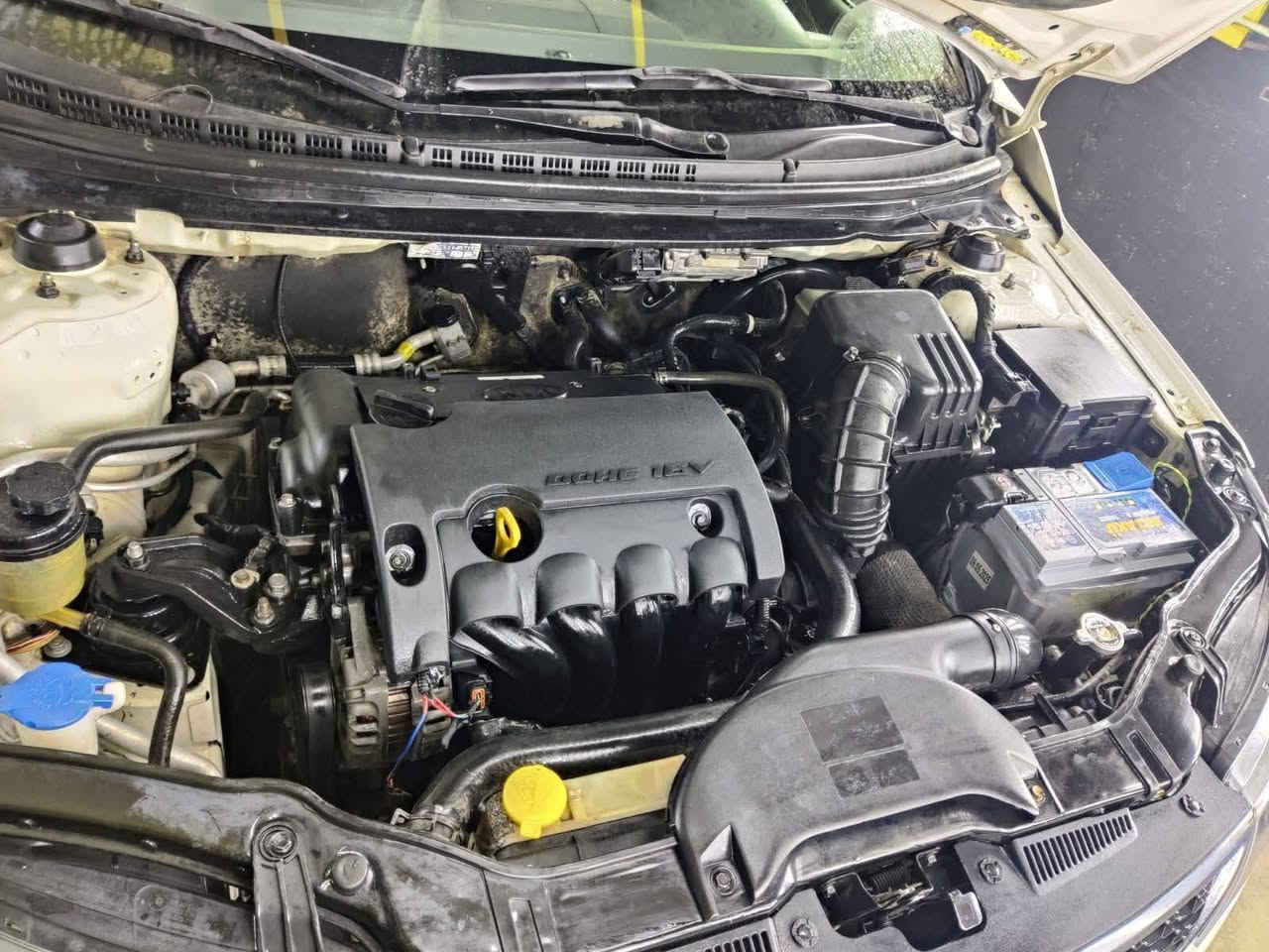 سـيـراتو مـوديل 2013 خـلـيجي شركة بخيت

محرك 1.6 cc  مامفتوح بلادي رقم بابل دولي بسمي

كير اوتو و عادي 6 نمر ،  ABS

شفتات استيرن ماشيه 112 اصل 

تحكمات استيرن جهتين

ويل كب 17 حجم جبير

بصمه 

تبريد بيانو

مري شفط

اشاير بالمري 

يدات استيل

تبريد و تدفئة شغال بلادي

سنوية جديدة لحد نهاية 2030

تاير و حدادية جديدة

مكفوله عدا هلال صبغ

سعره 123

مكان بابل

للاتصال و استفسار اتصل 

***********
