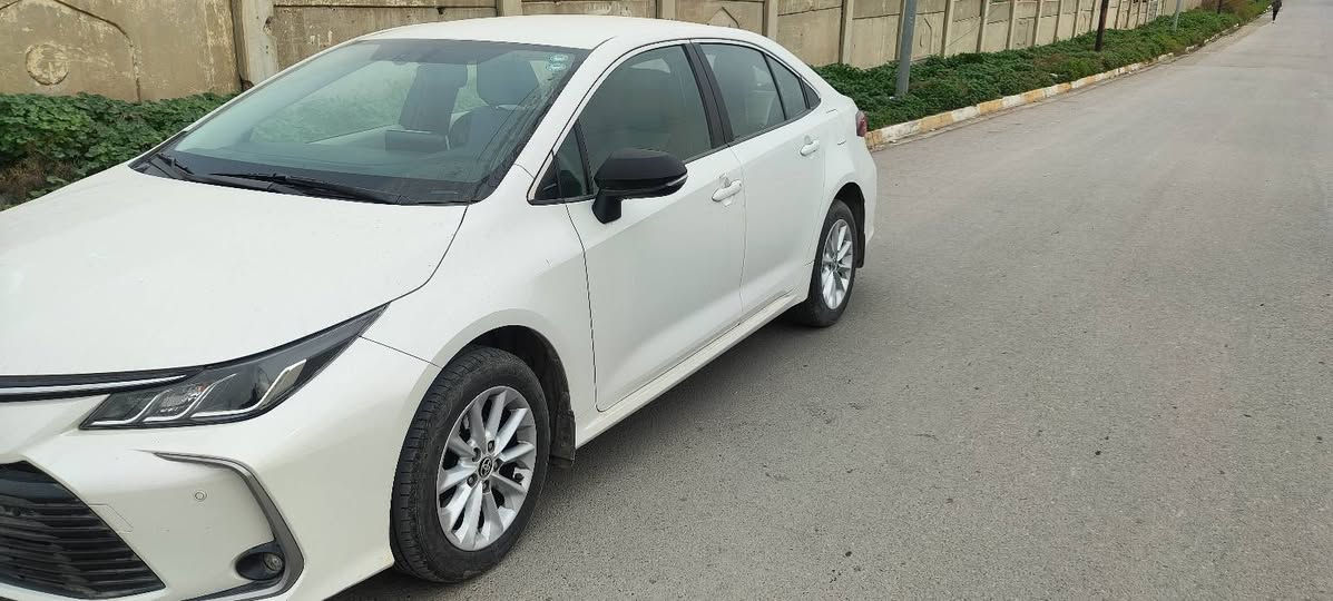 كورلا خليجي موديل 2020.


**إذا كنت صاحب هذا الإعلان وتريد حذفه لأي سبب، رجاءا أرسل رسالة إلى الدعم الفني**